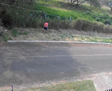PCPR prende homem por crime ambiental ao colocar fogo em vegetação em Cascavel