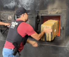 PCPR incinera mais de 300 quilos de drogas em Arapongas