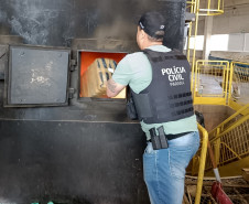PCPR incinera mais de 300 quilos de drogas em Arapongas