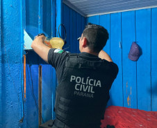 PCPR participa de Operação Nacional da PF visando o combate a pedofilia através da internet