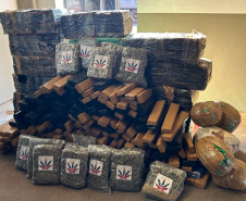 PCPR incinera meia tonelada de maconha em Cidade Gaúcha