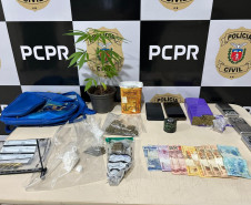 PCPR prende 14 pessoas durante operação em combate ao tráfico de drogas em Nova Esperança