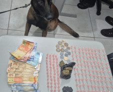 PCPR prende seis pessoas durante operação contra o tráfico no Norte do Estado