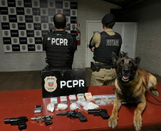 PCPR prende duas mulheres e apreende drogas, munições e dinheiro em Dois Vizinhos