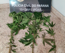 PCPR prende mulher em flagrante por tráfico de drogas em Rio Bonito