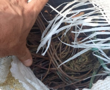 PCPR e PMPR prendem homem com 470 quilos de fios de cobre em Guarapuava