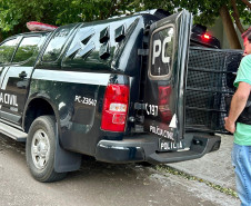 PCPR prende homem por homicídio e apreende objetos relacionados ao crime em Cidade Gaúcha
