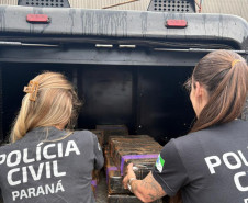 PCPR incinera 170 quilos de entorpecentes em Clevelândia 