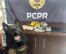 PCPR prende oito pessoas por crimes distintos em Rio Negro