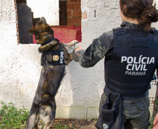 PCPR prende oito pessoas por crimes distintos em Rio Negro