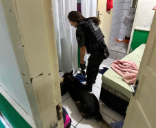 PCPR prende 20 pessoas envolvidas em esquema de tráfico de drogas no Centro de Curitiba