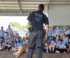 PCPR na Comunidade leva serviços de polícia judiciária e orientações a mais de 1,5 mil pessoas em Dois Vizinhos