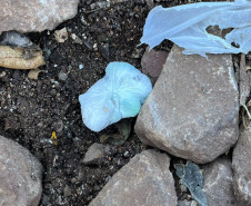 PCPR apreende adolescente em flagrante por tráfico de drogas em Realeza