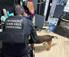 PCPR prende 20 pessoas envolvidas em esquema de tráfico de drogas no Centro de Curitiba