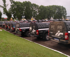PCPR, PPPR e GM desarticulam associação criminosa envolvida com o tráfico de drogas nos Campos Gerais