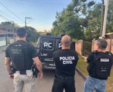PCPR desmantela estufa para a produção de maconha em Piraquara 