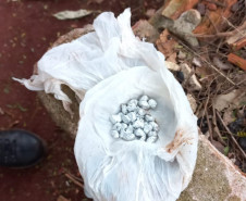 PCPR e PMPR prendem 10 pessoas durante o cumprimento de 27 mandados de busca e apreensão em Cascavel 