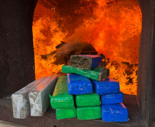 PCPR incinera mais de meia tonelada de drogas em Palmeira 