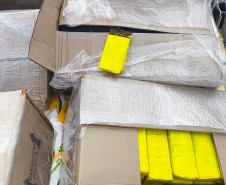 PCPR e PMPR incineram mais de 400 quilos de maconha em menos de uma semana após a apreensão
