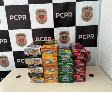 PCPR prendeu homem em flagrante por venda irregular de fogos de artifício em Guaratuba