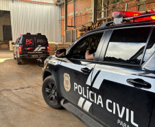 PCPR incinera 478 quilos de entorpecentes em Ponta Grossa