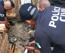 PCPR resgata cadela e filhotes presos em escombros em Guaratuba