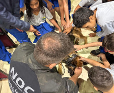 PCPR, em parceria com Conseg, entrega torniquetes para o Núcleo de Operações com Cães