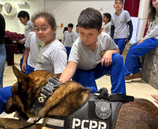 PCPR, em parceria com Conseg, entrega torniquetes para o Núcleo de Operações com Cães