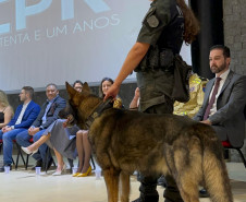PCPR, em parceria com Conseg, entrega torniquetes para o Núcleo de Operações com Cães