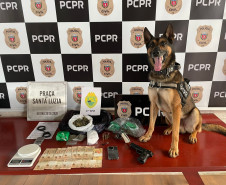 PCPR e PMPR prendem três pessoas durante operação no Sudoeste do Estado