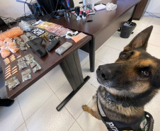 PCPR prende duas pessoas em flagrante e apreende drogas em Pinhais