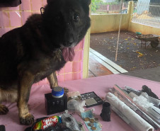 Polícias Civil e Militar deflagram operação e prendem oito suspeitos por tráfico de drogas e crime organizado