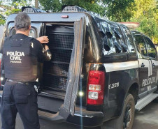 PCPR prende homem em flagrante por posse irregular de arma de fogo em Pinhais