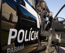 PCPR realiza primeira grande apreensão de drogas de 2025: mais de 1 tonelada de drogas apreendidas em Umuarama