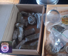 PCPR prende em flagrante homem com plantação de maconha caseira em Guarapuava