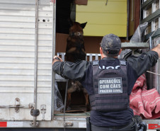 Forças de segurança fazem operação integrada nas rodovias de acesso ao Litoral