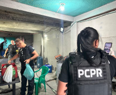 PCPR prende oito integrantes de grupo especializado em furtos e adulteração de veículos