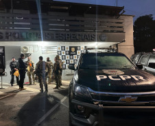 PCPR prende mulher durante operação contra organização criminosa especializada em furtos