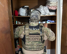 PCPR prende mulher durante operação contra organização criminosa especializada em furtos