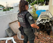 PCPR e PMPR prendem oito pessoas e apreendem drogas em operação contra organização criminosa envolvida no tráfico de drogas no Litoral