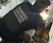 PCPR prende 17 pessoas e apreende drogas, armas e dinheiro em operação contra organização criminosa em Colombo