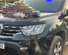 PCPR prende 17 pessoas e apreende drogas, armas e dinheiro em operação contra organização criminosa em Colombo