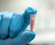 Alerta de segurança: Polícia Científica identifica cocaína rosa após apreensão realizada pela PCPR