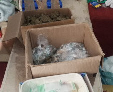A Polícia Civil do Paraná (PCPR) prendeu em flagrante um homem, de 35 anos, pelo crime de tráfico de drogas. A captura aconteceu nesta segunda-feira (24), no bairro Guarani, em Colombo, na Região Metropolitana de Curitiba, depois que os policiais o localizarem embalando cerca de 20 quilos de maconha para venda.