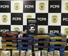 PCPR prende homem em flagrante por tráfico de drogas e apreende carga avaliada em R$ 134 mil em Pato Branco 