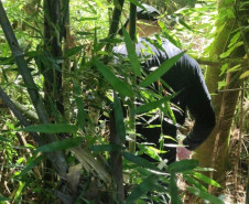 PCPR prende duas pessoas por homicídio e ocultação de cadáver em Francisco Beltrão 