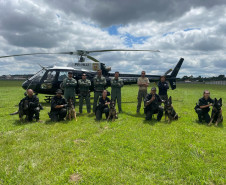 PCPR treina cães farejadores em aeronaves para operações emergência