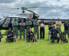 PCPR treina cães farejadores em aeronaves para operações emergência