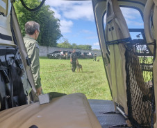 PCPR treina cães farejadores em aeronaves para operações emergência