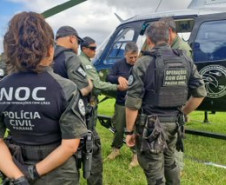 PCPR treina cães farejadores em aeronaves para operações emergência